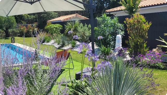 Jardin en fleur des Pérovskias