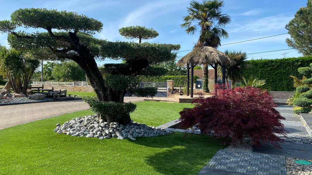 Plantation d&rsquo;olivier en nuage par grutage