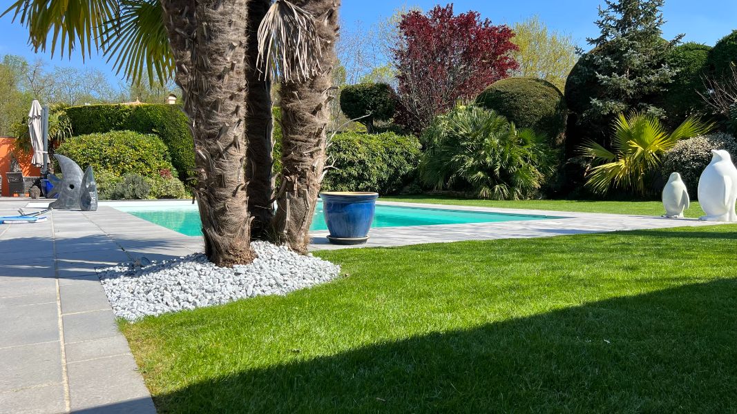 Espace Piscine & Oasis Verte à Bordeaux