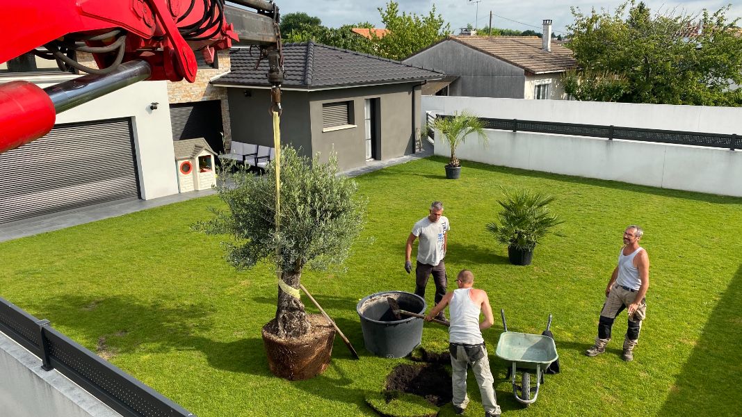 Plantation par Grutage au Haillan