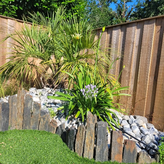 Projet Signature : Harmonie Bois, Gazon & Massifs