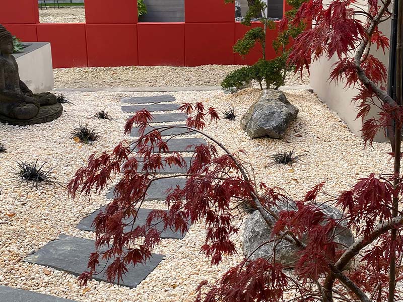 Massif japonais avec érable et pas japonais