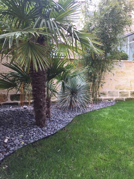 Métamorphose Végétale : De la Bambouseraie au Jardin Exotique