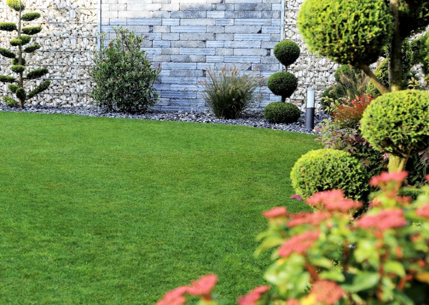 Jardin Structuré & Gazon à Saint-Médard-en-Jalles