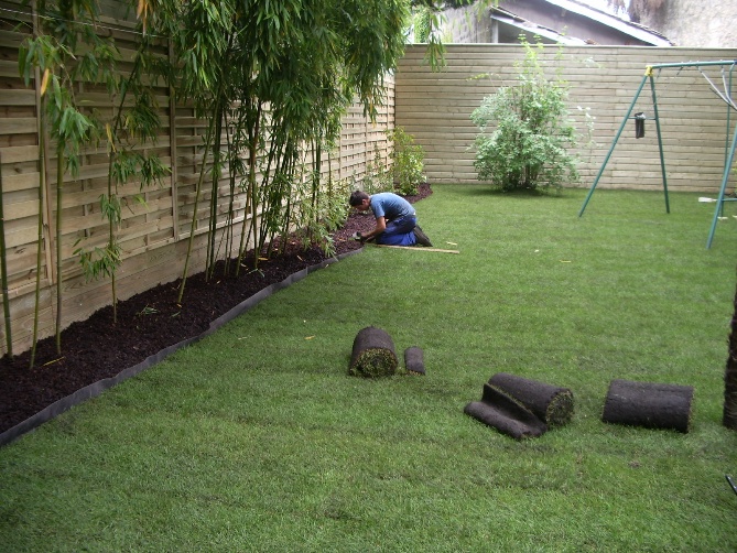Maîtrise & Gazon : Protection des Bambous & Pelouse en Rouleau