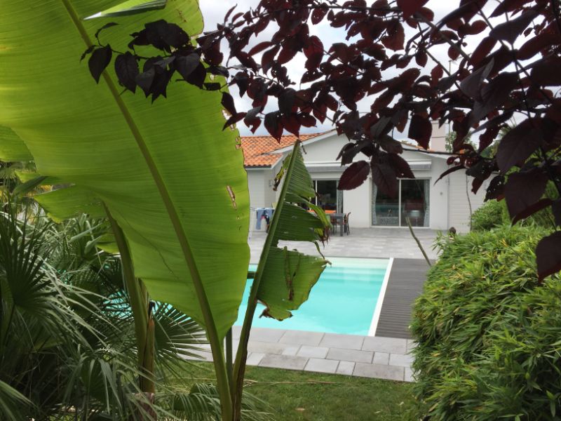 Écran de Verdure Piscine à Mérignac