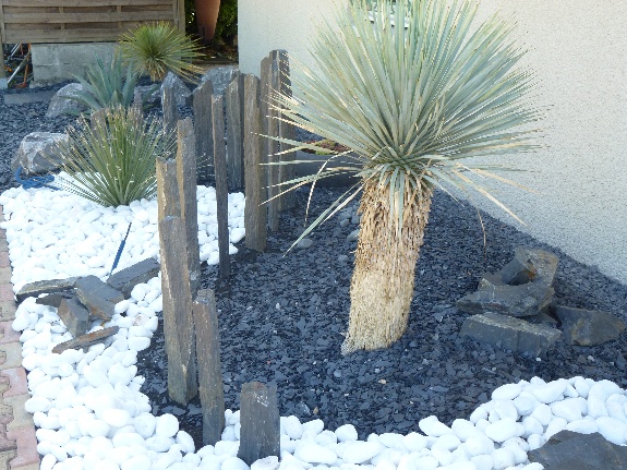 Éco-Design : Aménagement d'un Jardin Sec Durable