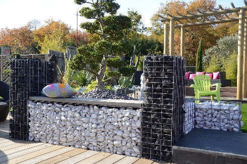 Lignes Modernes : Assise en Gabion & Ilex à Nuage