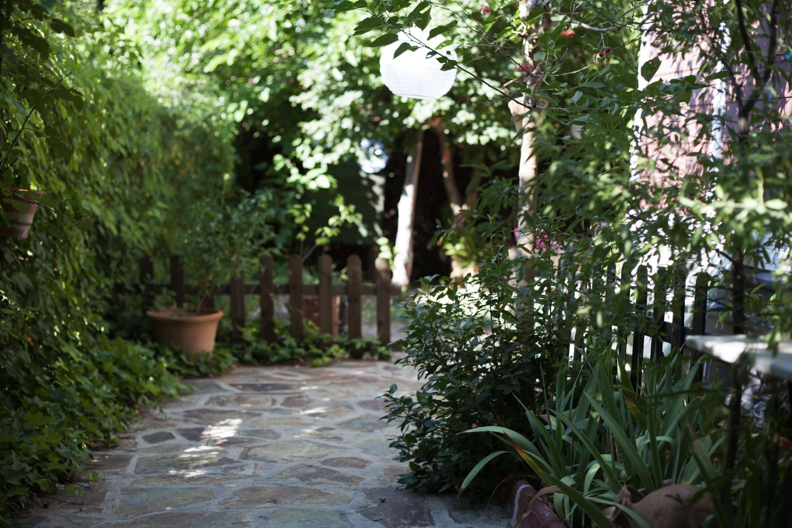 Jardin paysager structuré dans le Médoc avec terrasse et plantations durables