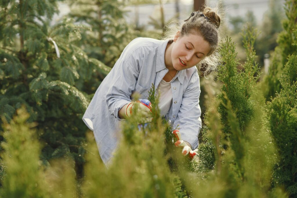 jardinier professionnel entretien jardin Bordeaux
