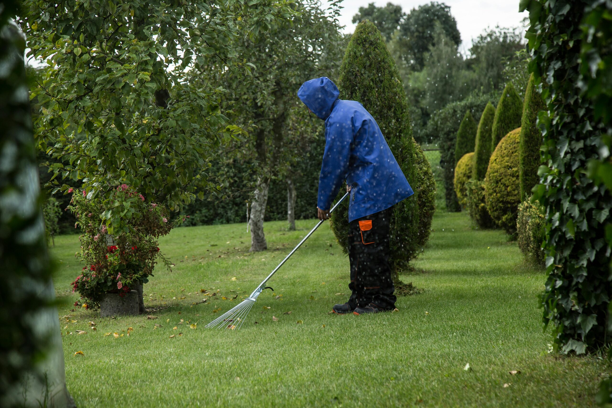 Entretien de jardin à Mérignac par Drouillard Paysagiste — taille, tonte et suivi régulier en Gironde.