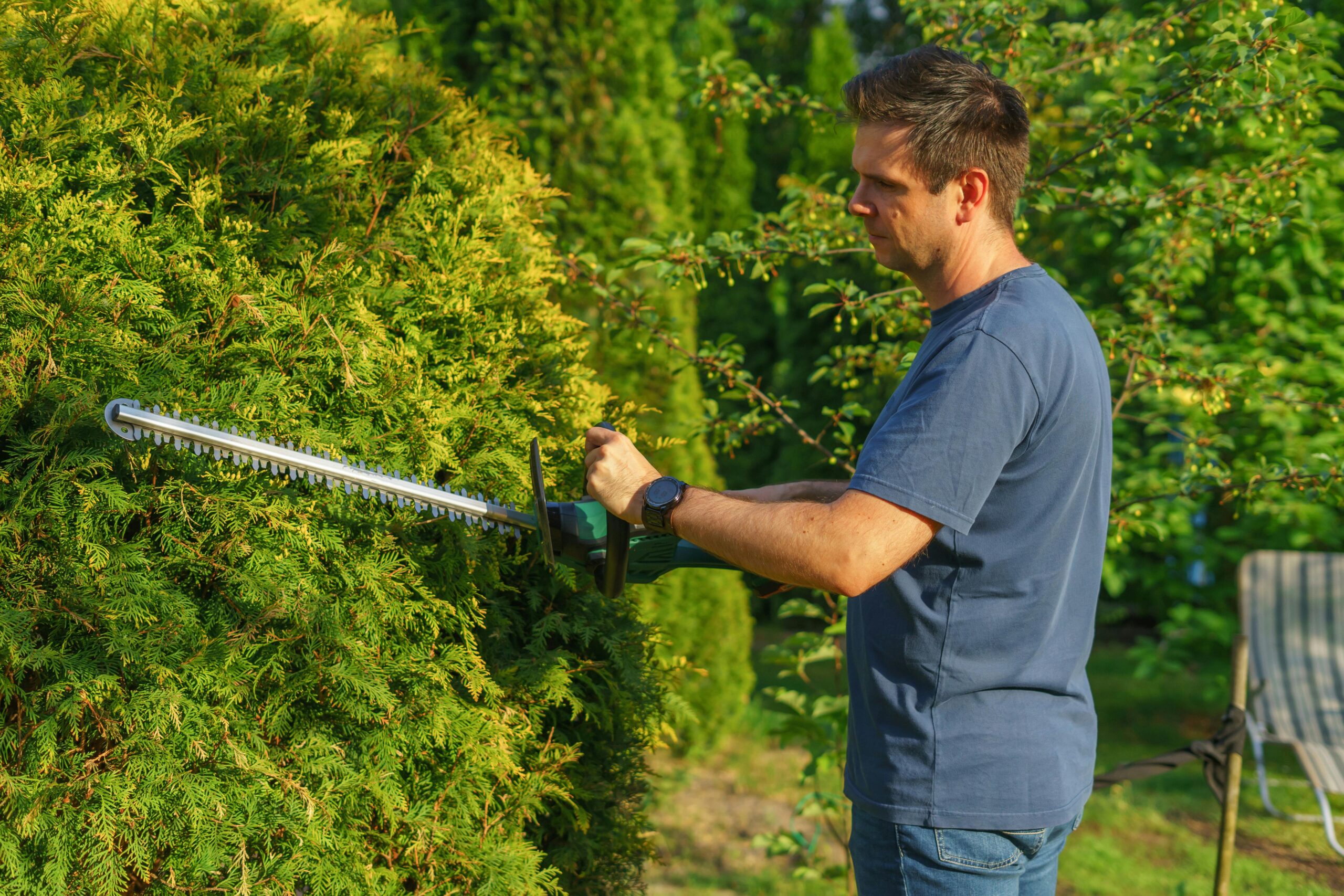 Taille d’un conifère par un jardinier à Bordeaux, intervention précise pour maîtriser la croissance du végétal et préserver l’équilibre du jardin en Gironde.