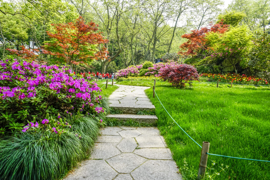 création, rénovation et entretien de jardins à Bordeaux