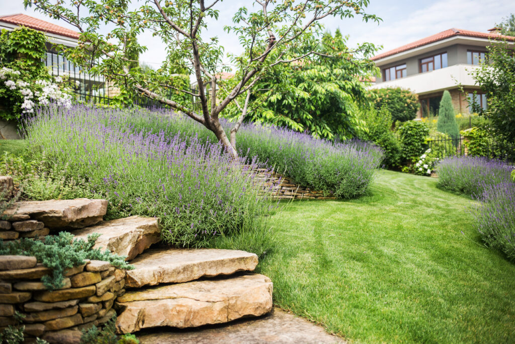 création, rénovation et entretien de jardins sur mesure